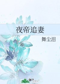 夜帝追妻